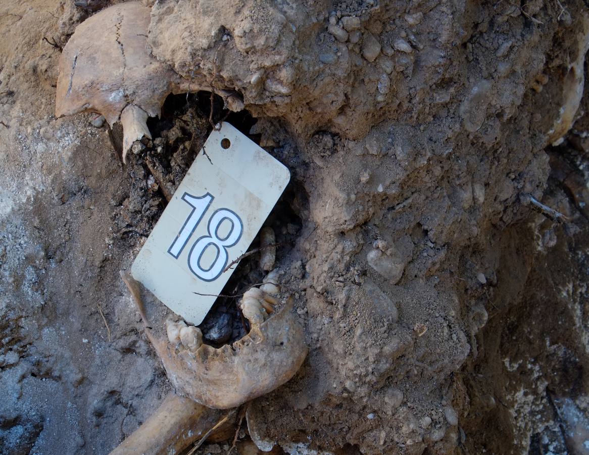 Trabajos de exhumación en una fosa común del Cementerio de El Carmen