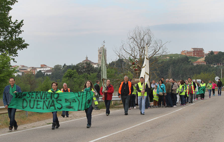 Romería de San Isidro en Dueñas (1/2)