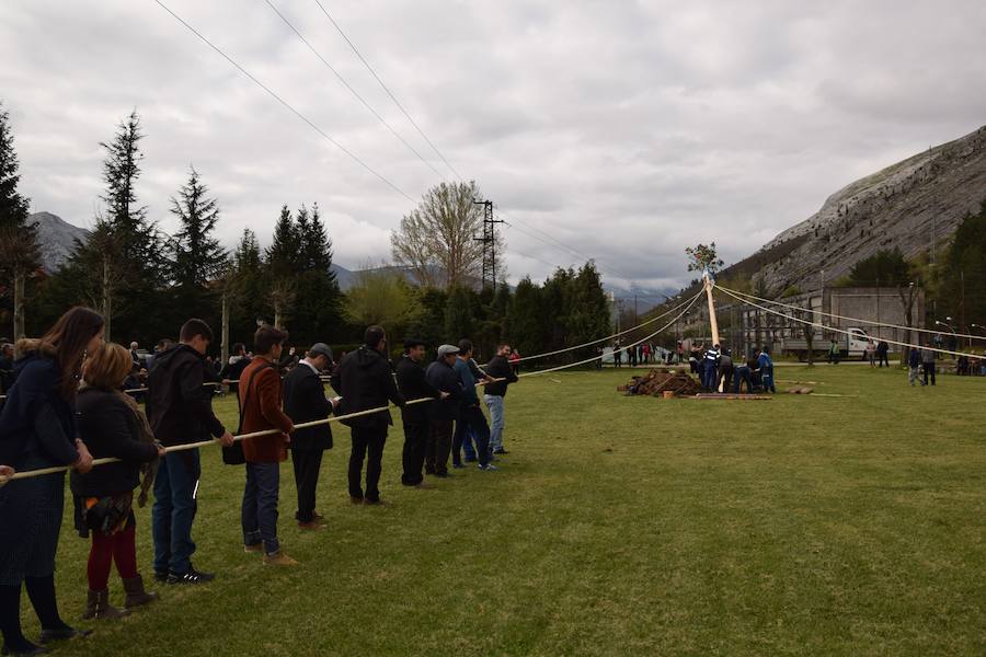 Velilla pina el mayo