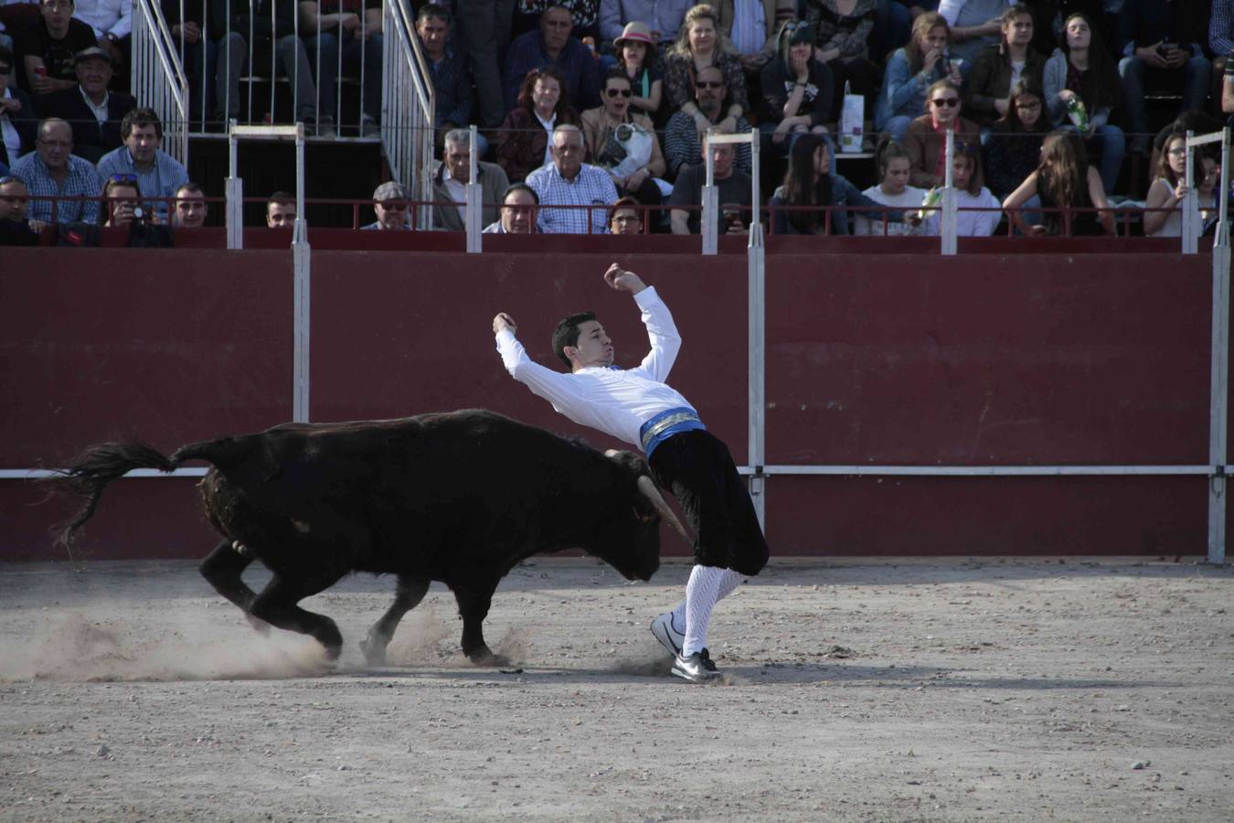 Primer concurso de cortes del Milenario de Peñafiel (1/2)