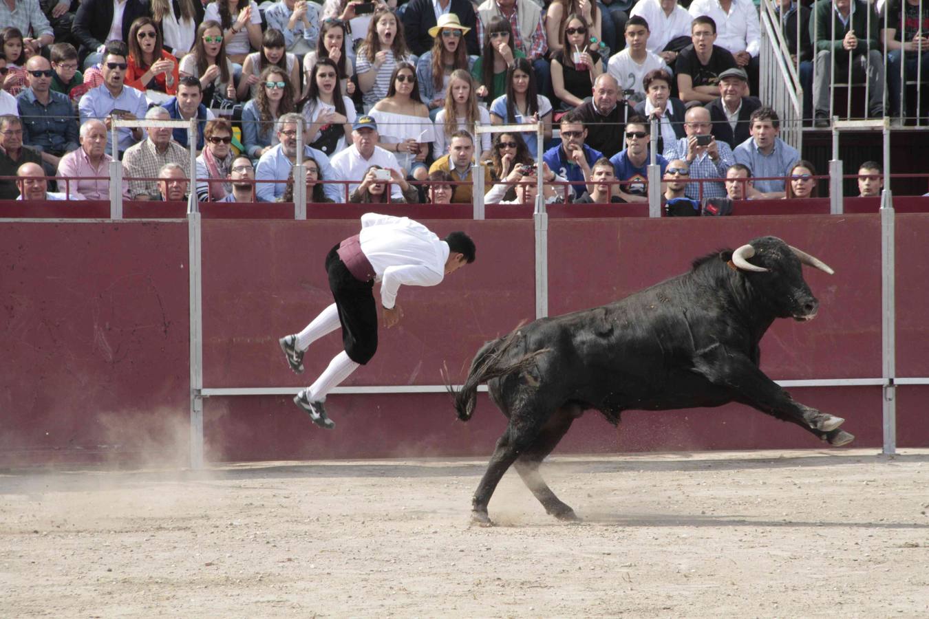 Primer concurso de cortes del Milenario de Peñafiel (2/2)
