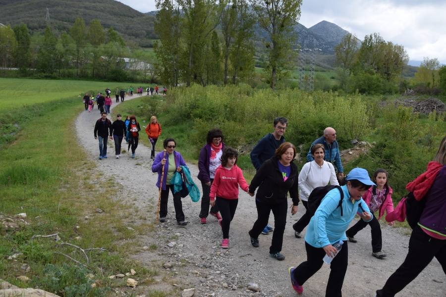 Marcha Adecas en Guardo