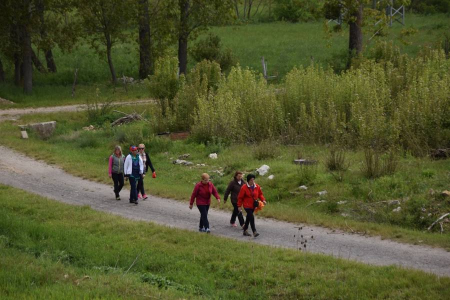 Marcha Adecas en Guardo