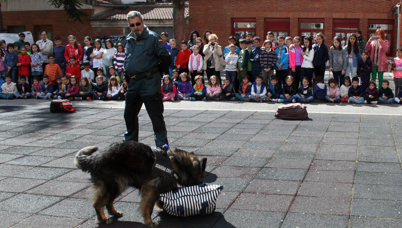 Exhibición de medios de la Guardia Civil en el colegio Santa Clara de Cuéllar