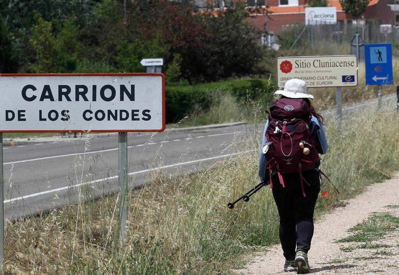 Una peregrina en el tramo de Carrión de los Condes.