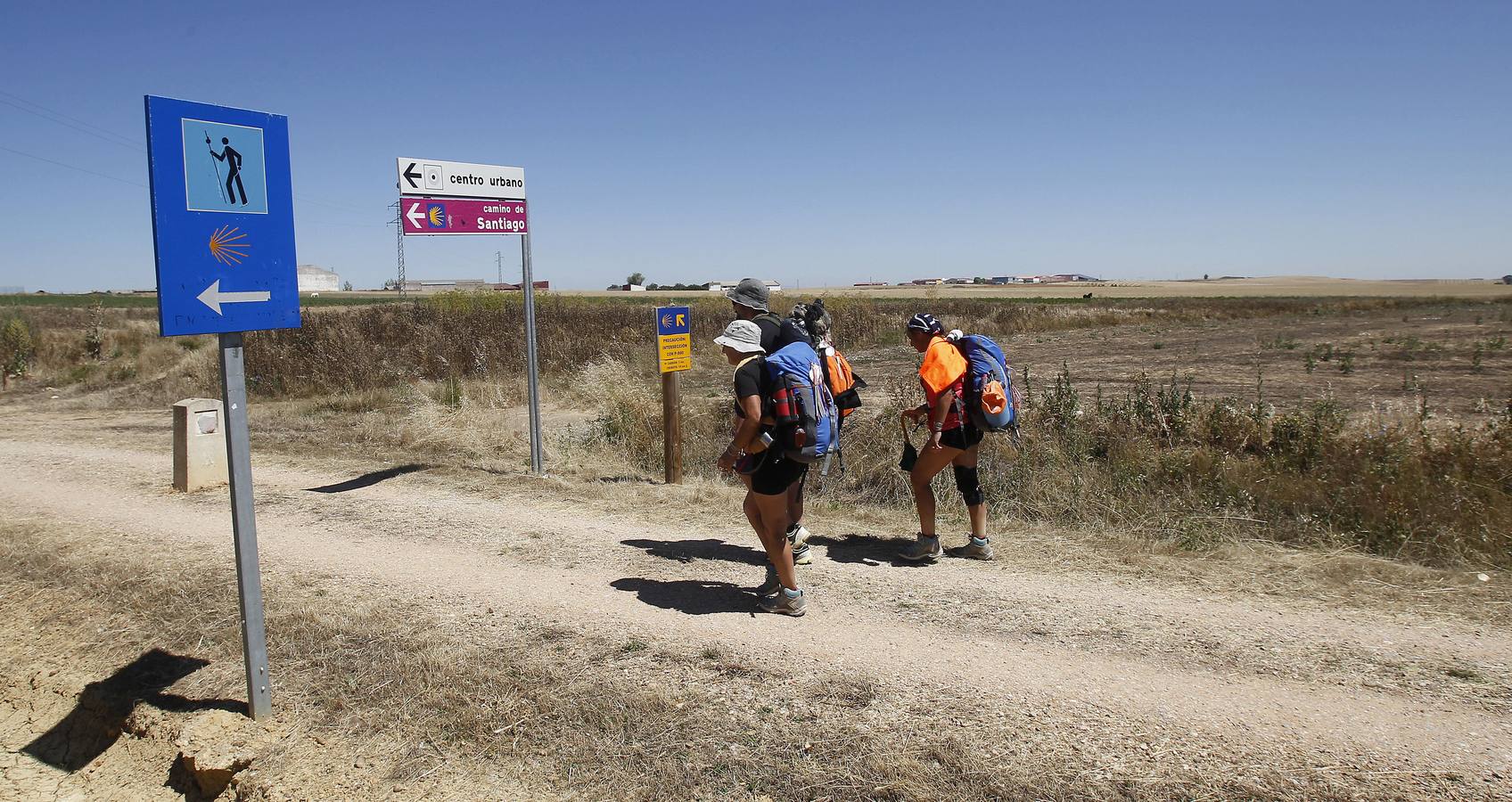 Peregrinos hacia Carrión de los Condes.