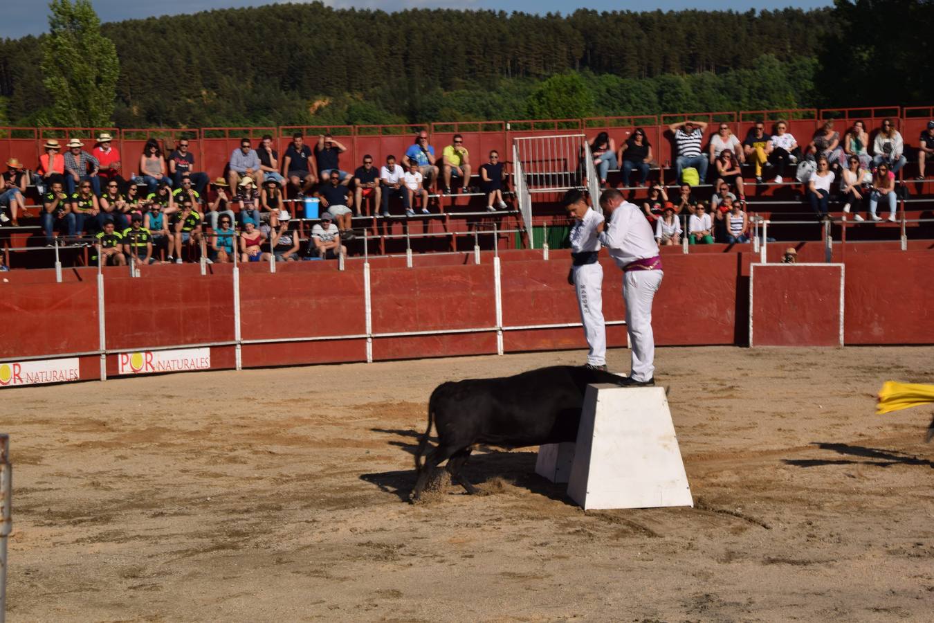 Espectáculo de recortes en las fiestas de Guardo