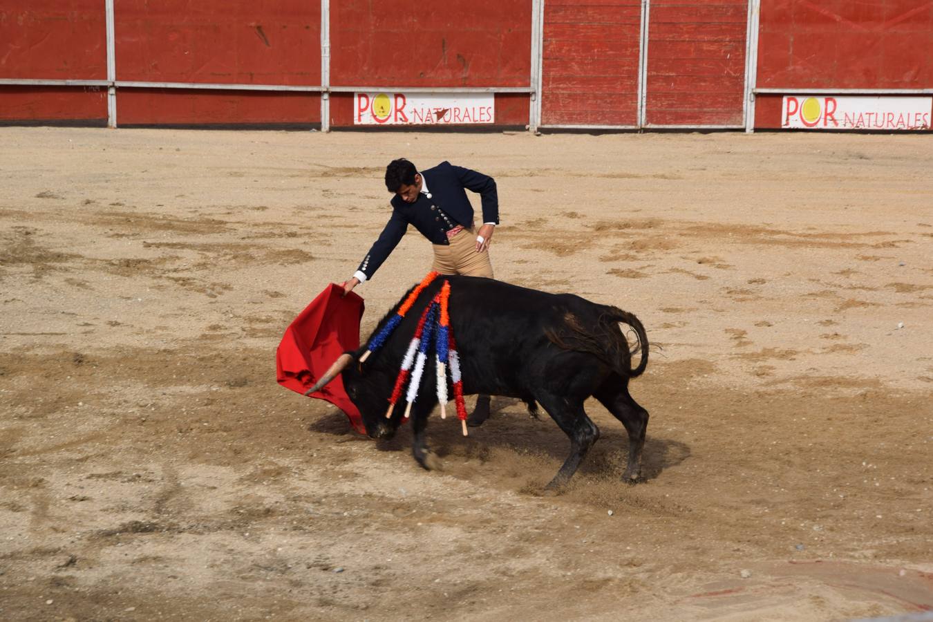 Tarde de toros en las fiestas de Guardo