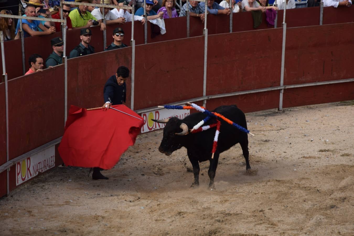 Tarde de toros en las fiestas de Guardo