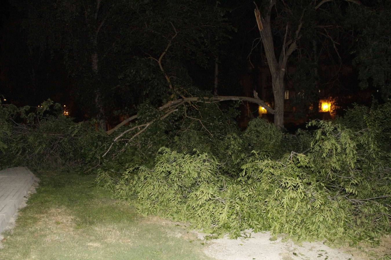 Una rama de grandes dimensiones cae al suelo en el parque público Pedro Burgueño de Peñafiel