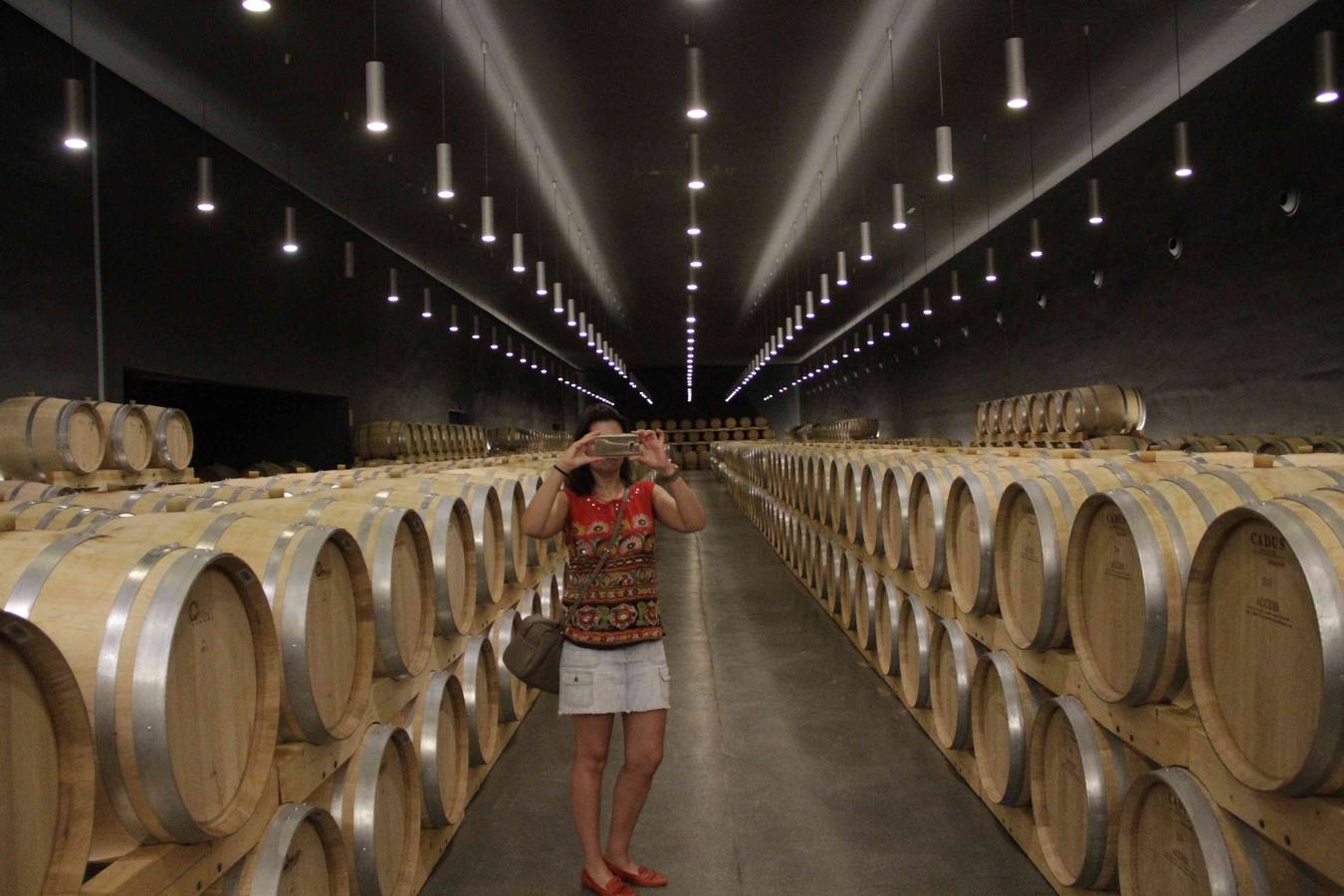 La Bodega Cepa 21 abre sus puertas al Club de Catas de El Norte de Castilla (1/2)