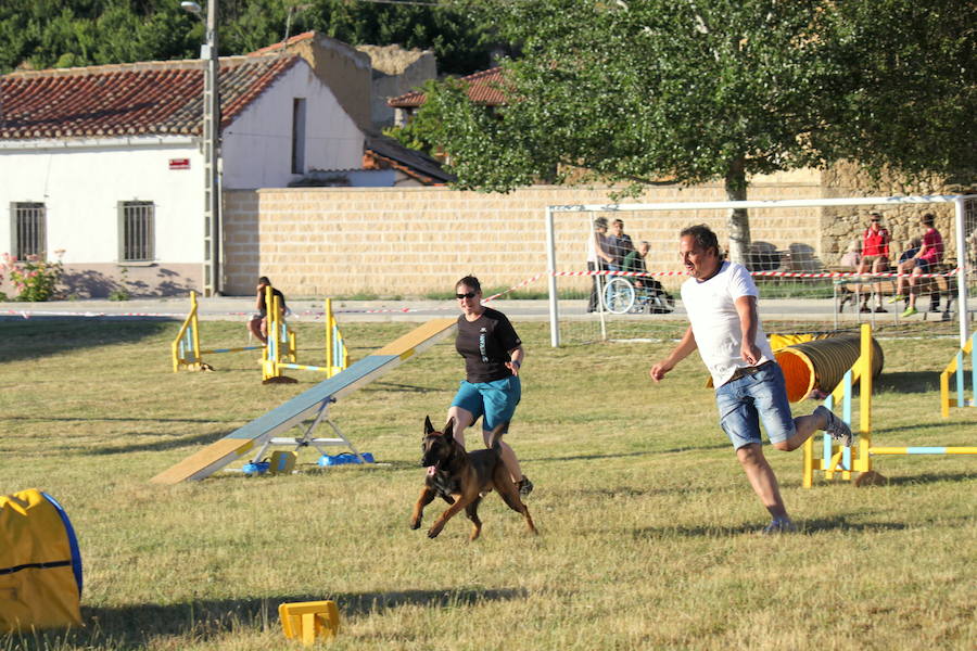 Exhibición canina en Hornillos (Palencia)