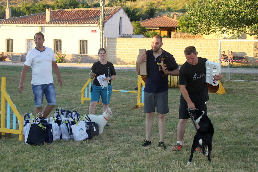 Exhibición canina en Hornillos (Palencia)