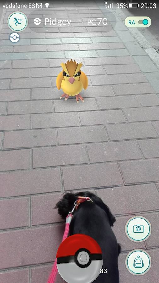 Pókemon Go en Valladolid