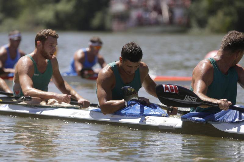 Regata k-4 en el río Pisuerga