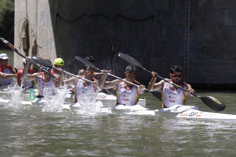 Regata k-4 en el río Pisuerga