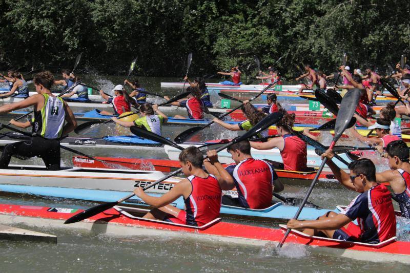 Regata k-4 en el río Pisuerga