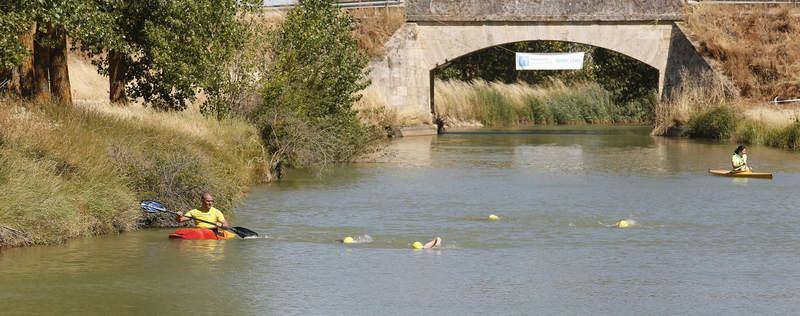 II Travesia a nado en el Canal de Castilla y Casas del Rey en Paredes de Nava