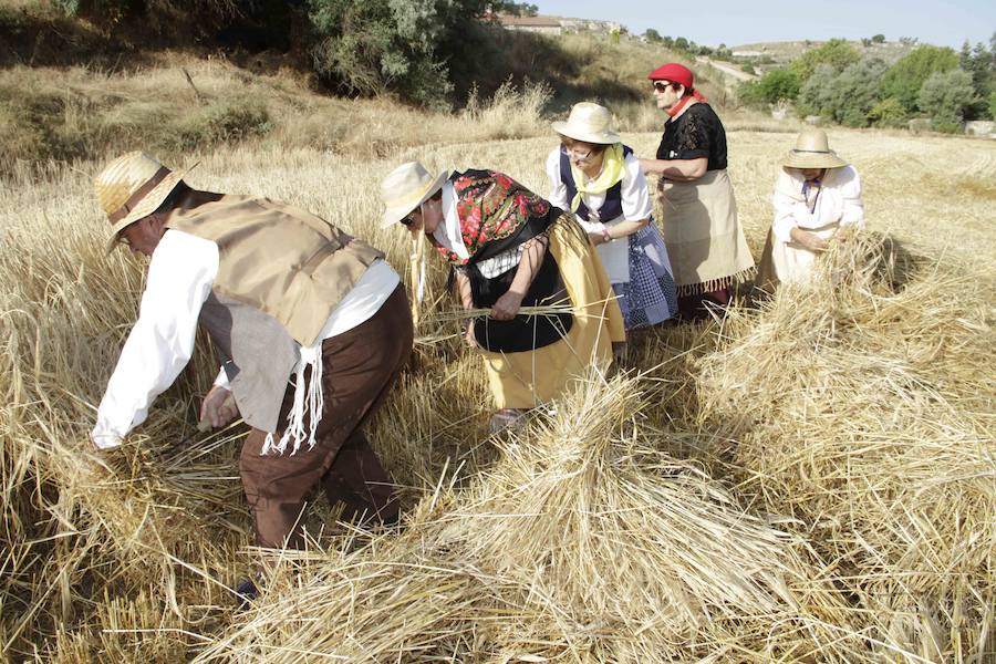 XIII Aniversario del Día de la Siega en Castrillo de Duero (Valladolid)