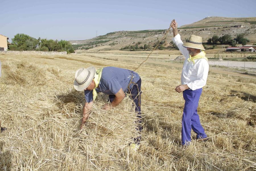 XIII Aniversario del Día de la Siega en Castrillo de Duero (Valladolid)