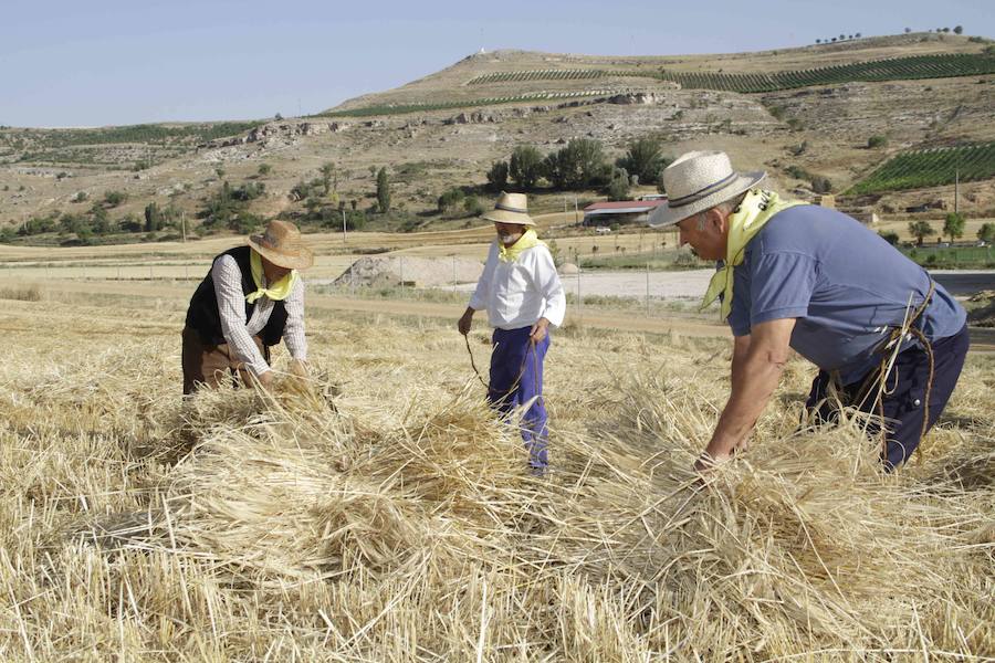 XIII Aniversario del Día de la Siega en Castrillo de Duero (Valladolid)