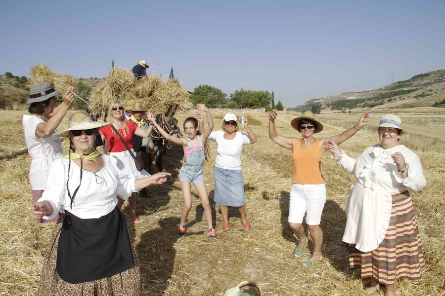 XIII Aniversario del Día de la Siega en Castrillo de Duero (Valladolid)
