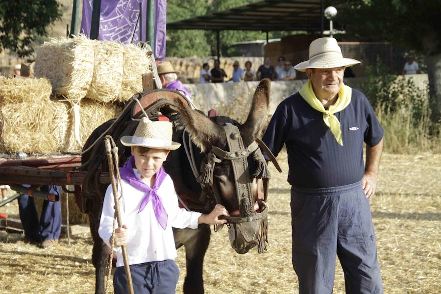 XIII Aniversario del Día de la Siega en Castrillo de Duero (Valladolid)