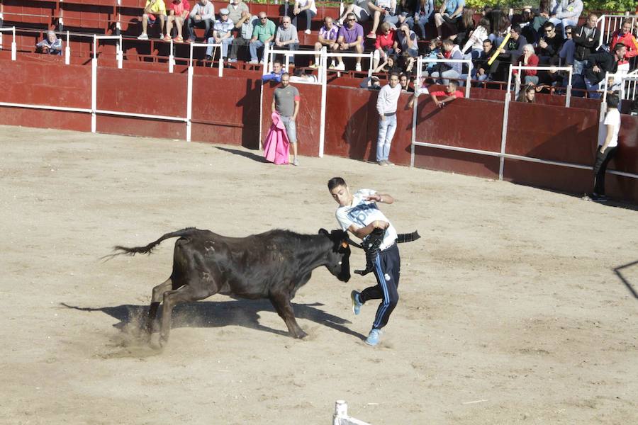 Capea y primer encierro en Campaspero