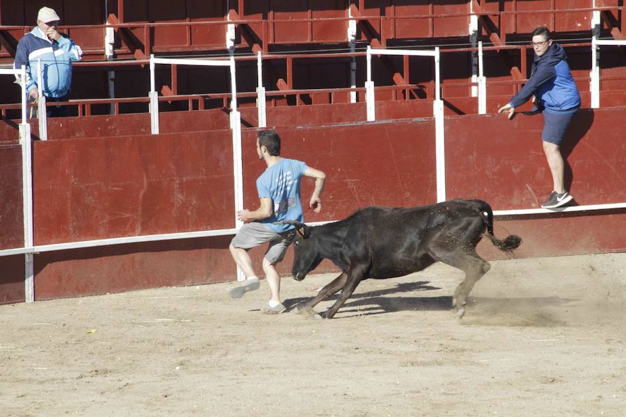 Capea y primer encierro en Campaspero