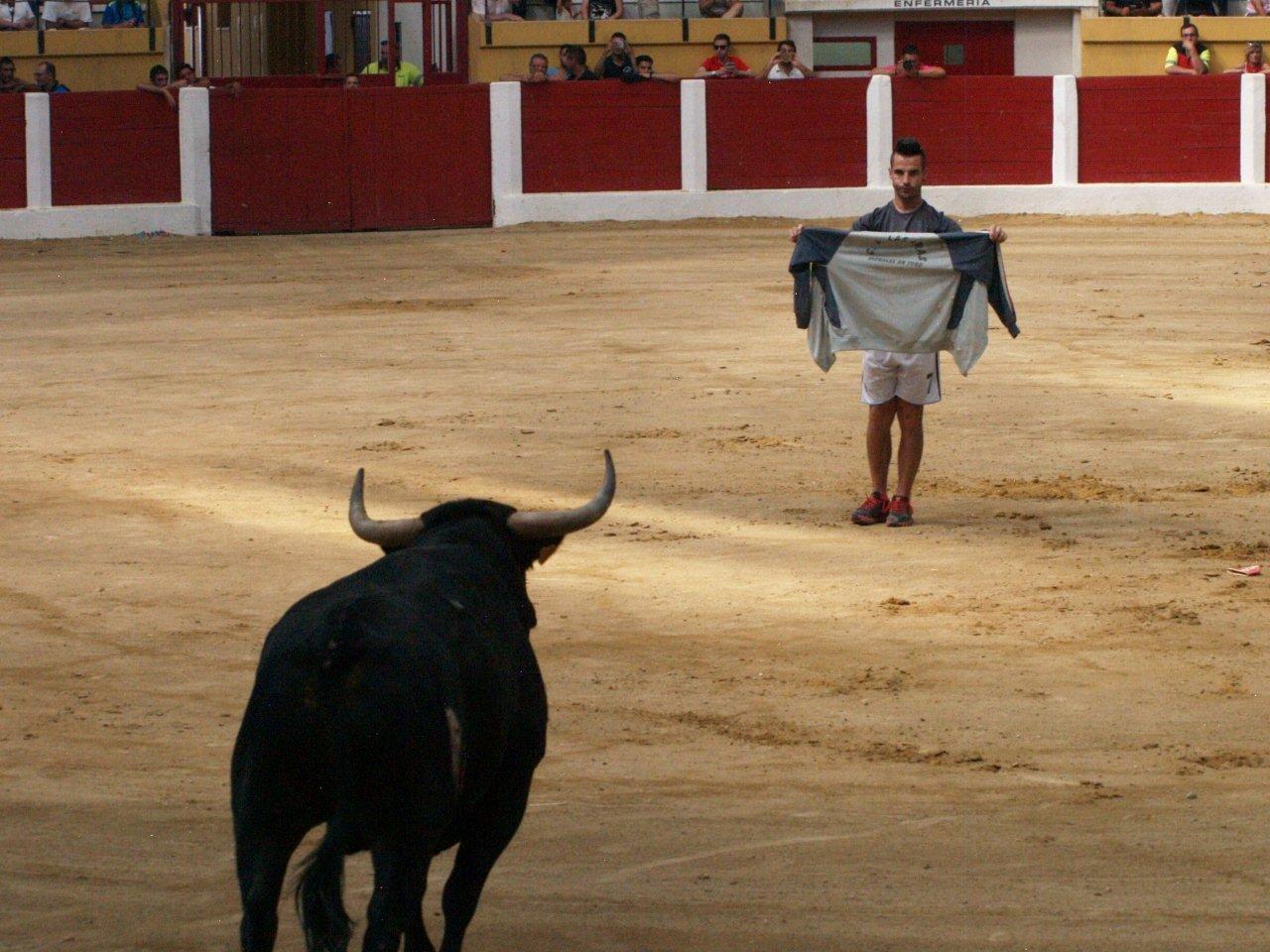 Encierro campero y probadilla en las fiestas de Íscar