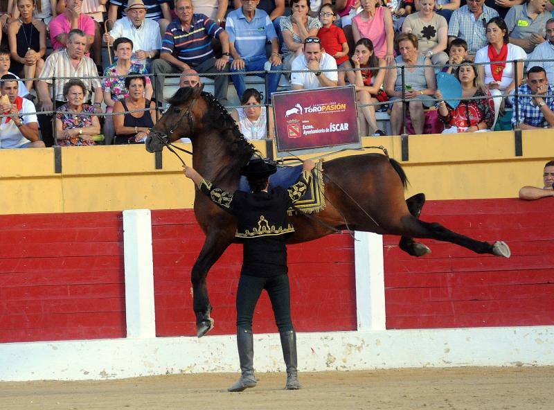 Cortes de novillos en Íscar