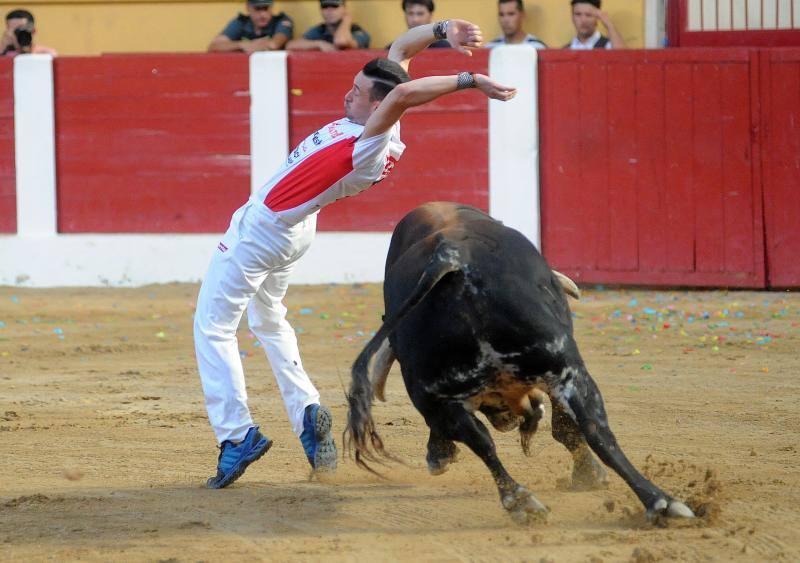 Cortes de novillos en Íscar