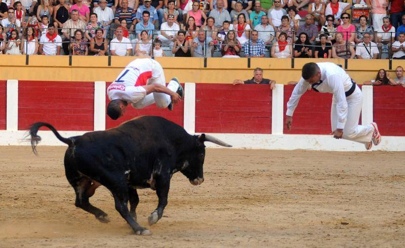 Cortes de novillos en Íscar