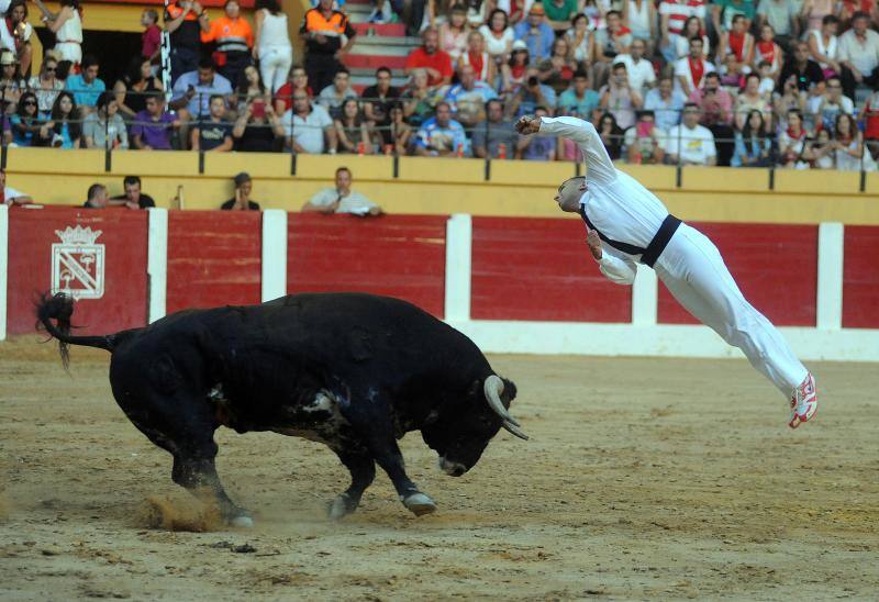 Cortes de novillos en Íscar