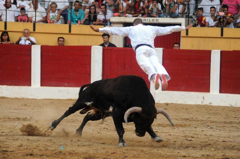 Cortes de novillos en Íscar