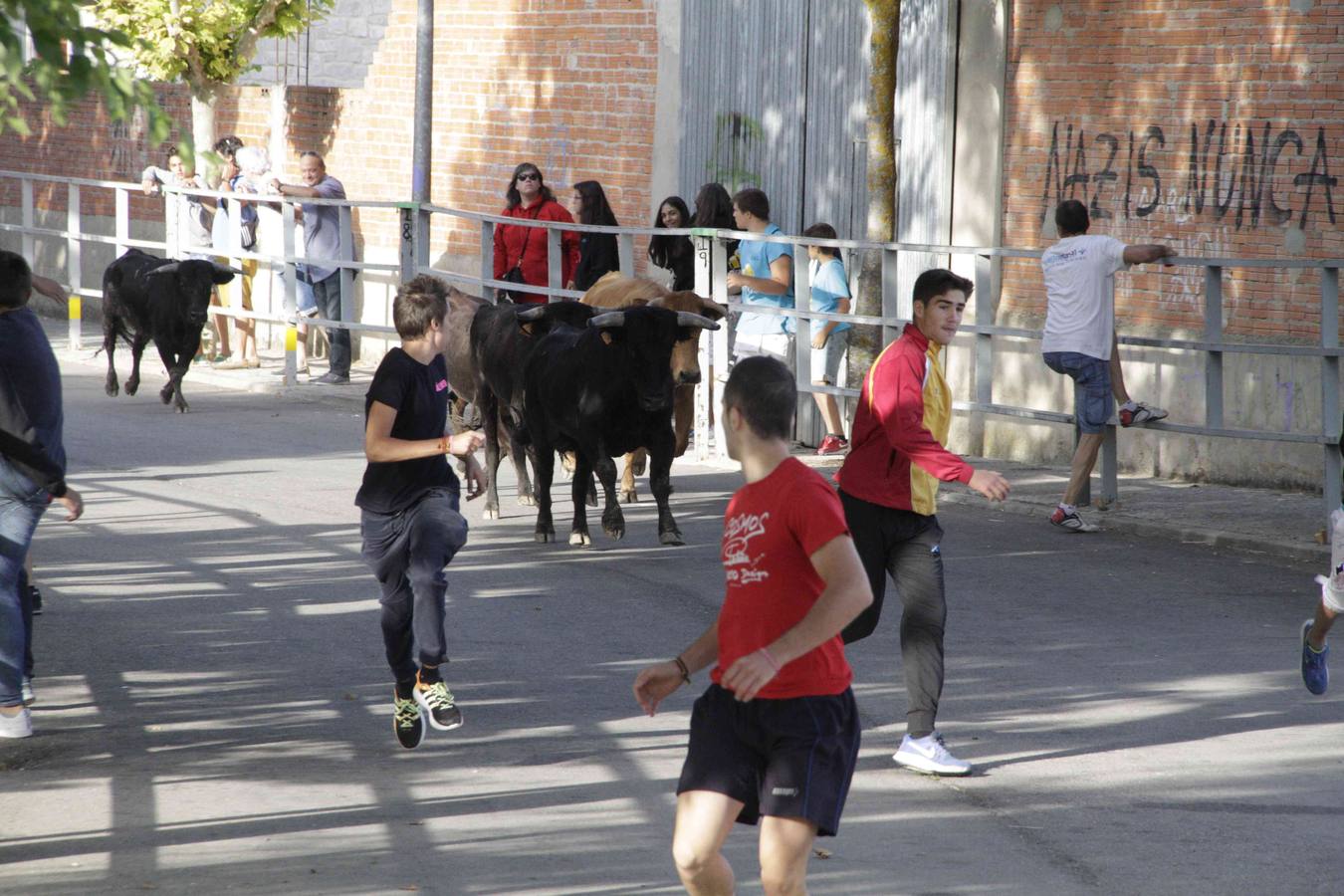 Tercer y último encierro de las fiestas de Campaspero