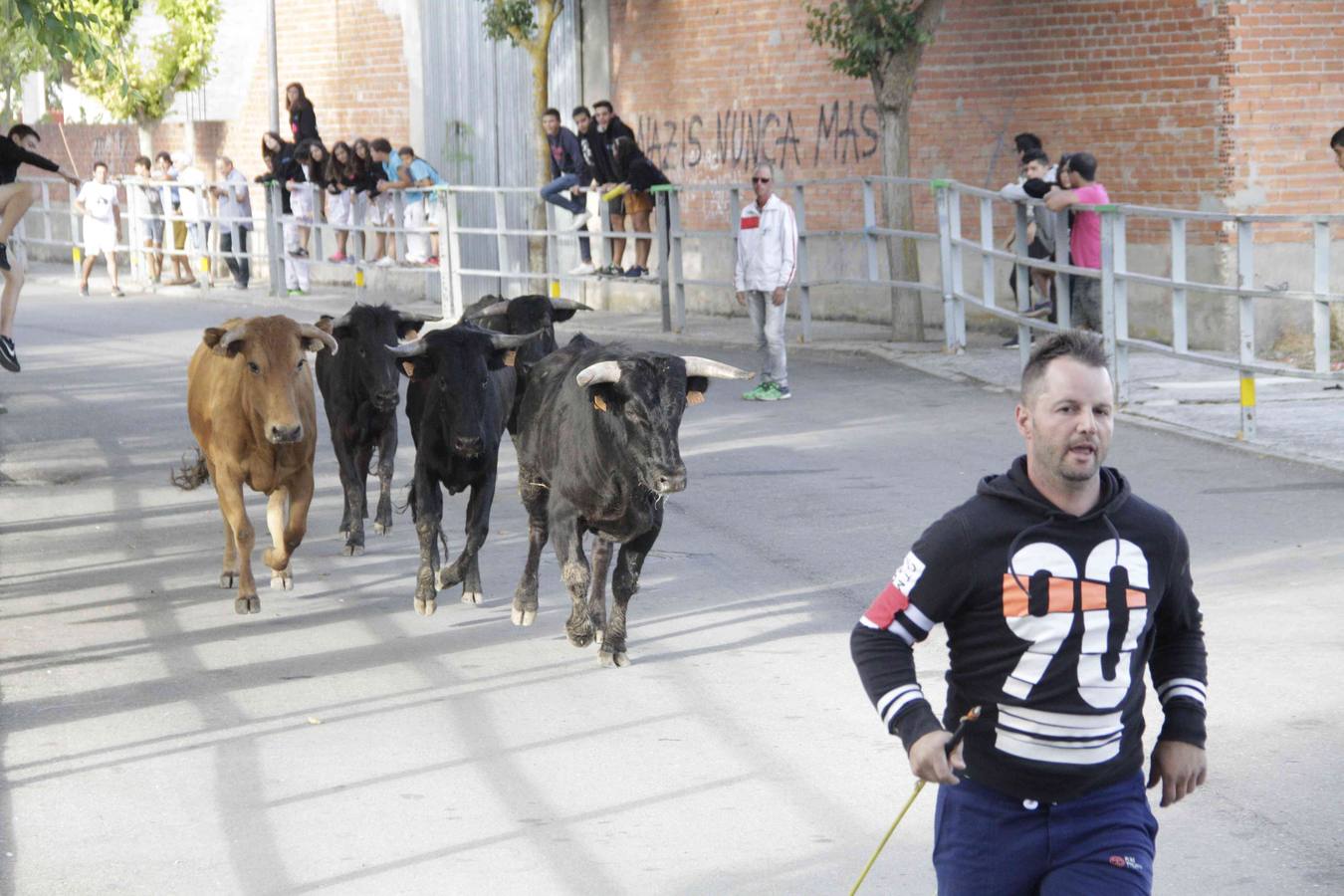 Tercer y último encierro de las fiestas de Campaspero