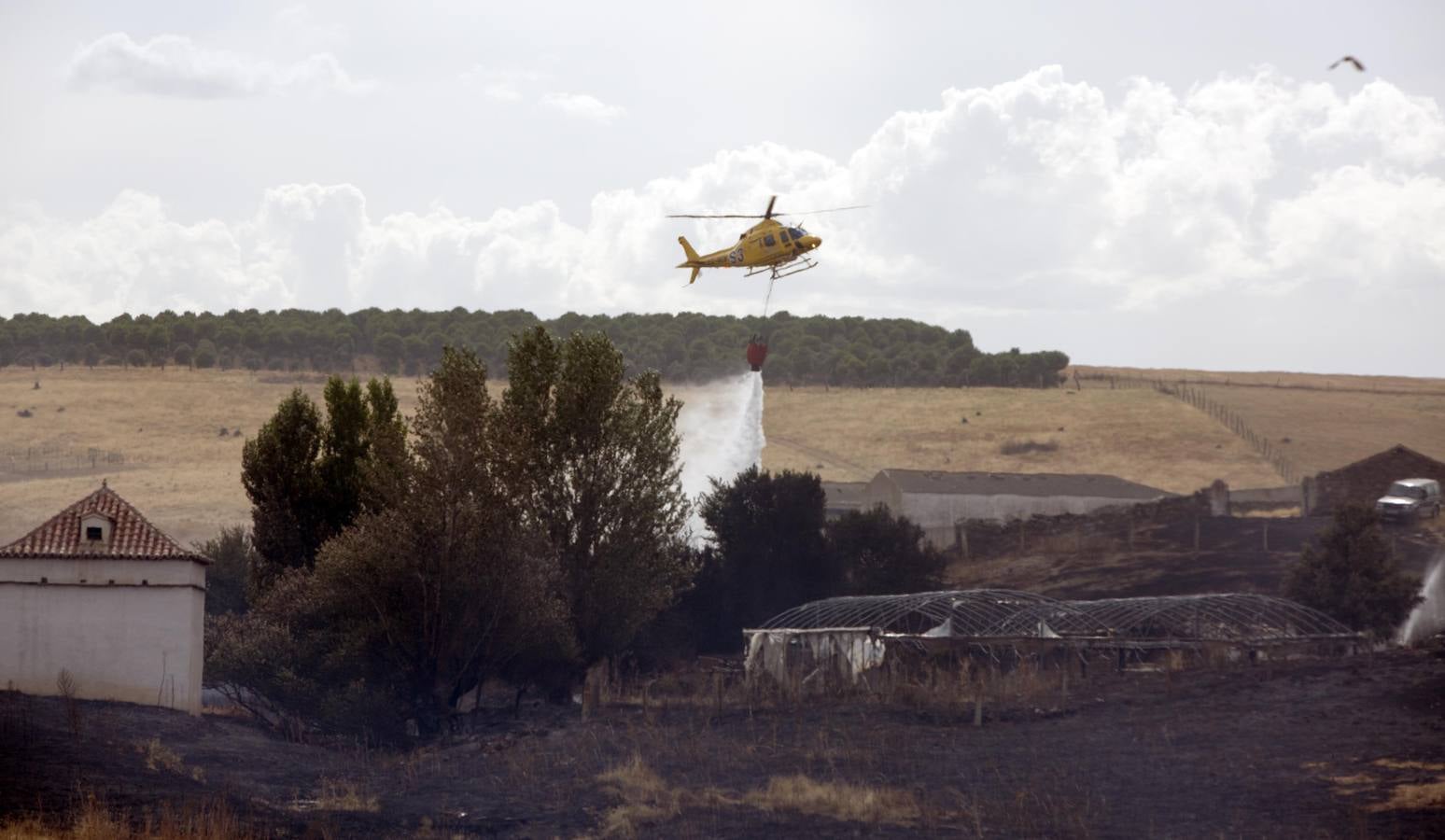 Un incendio declarado en la zona de Aldeagallega sorprende a los vecinos de Miranda de Azán y Aldeatejada (Salamanca)