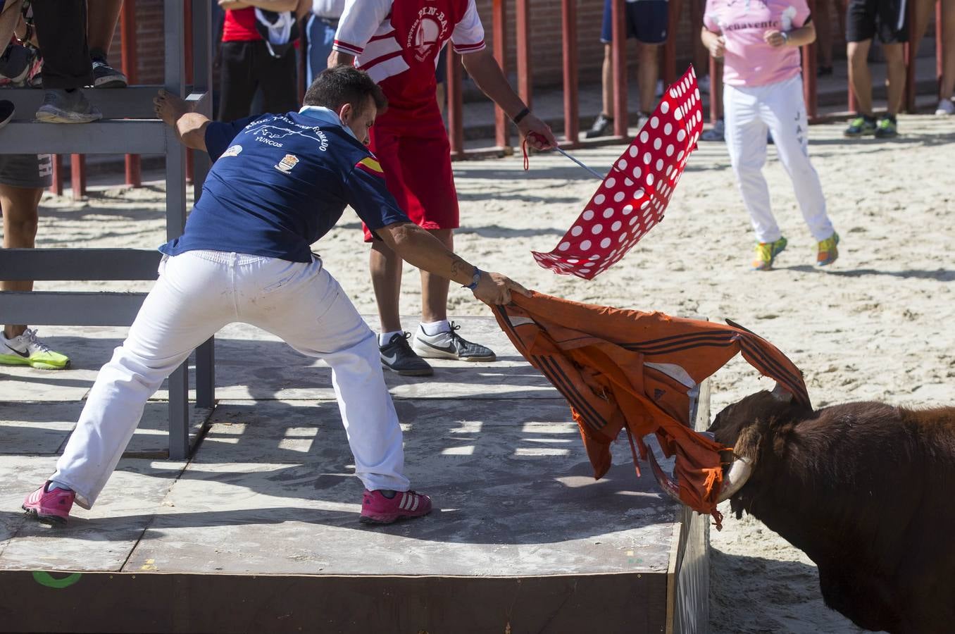 Encierro en las fiestas de Viana de Cega