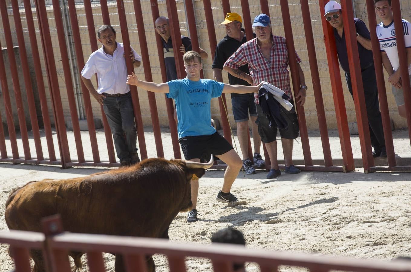 Encierro en las fiestas de Viana de Cega