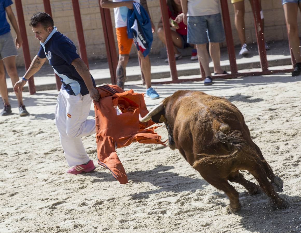 Encierro en las fiestas de Viana de Cega
