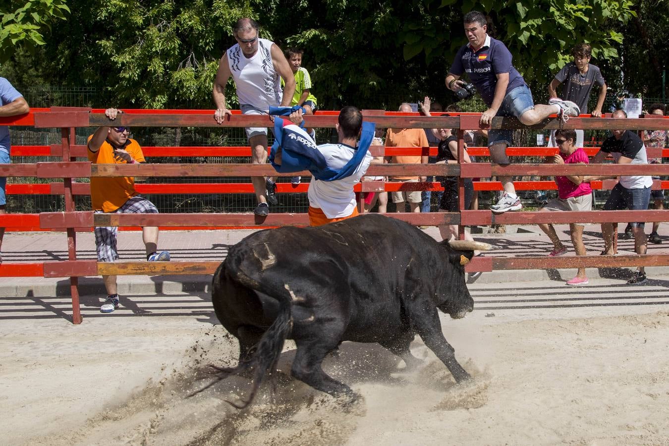 Encierro en las fiestas de Viana de Cega