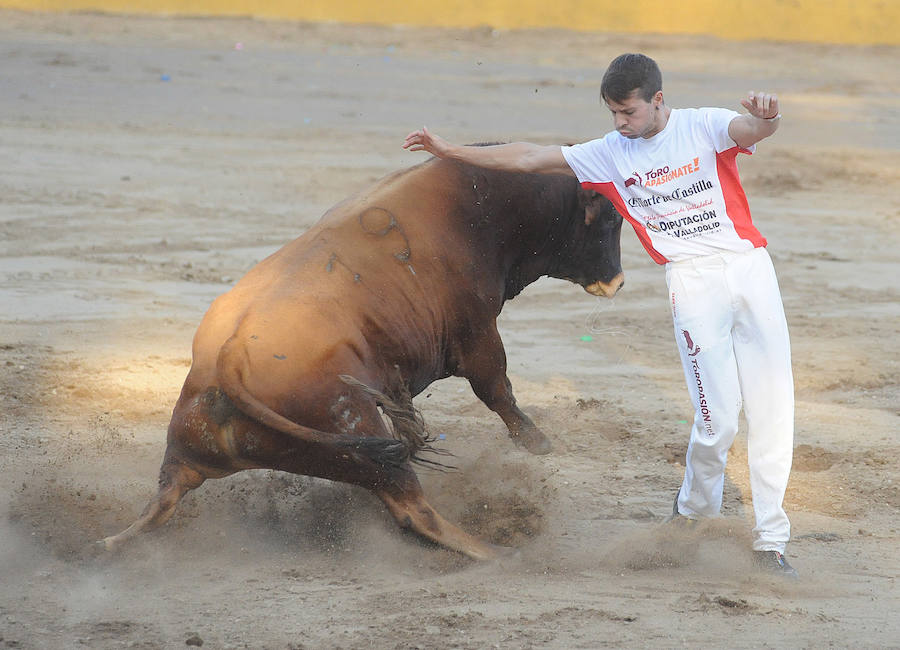 Concurso de recorte libre en Pollos