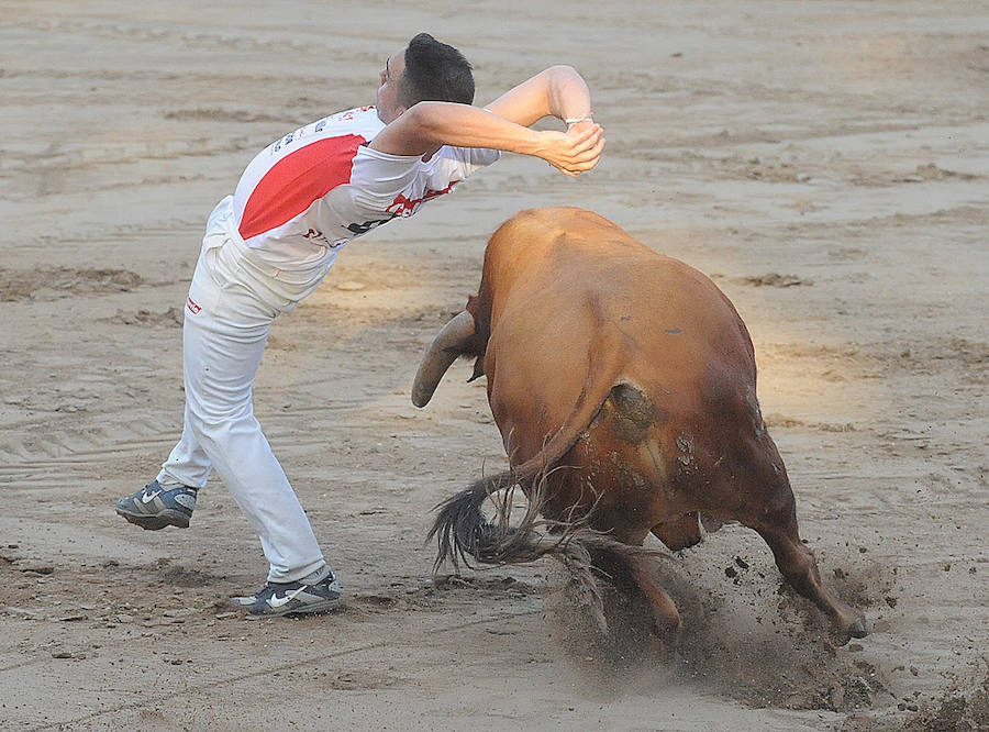 Concurso de recorte libre en Pollos