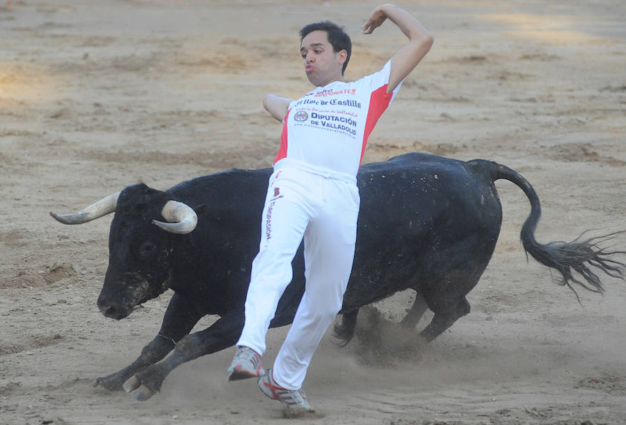 Concurso de recorte libre en Pollos