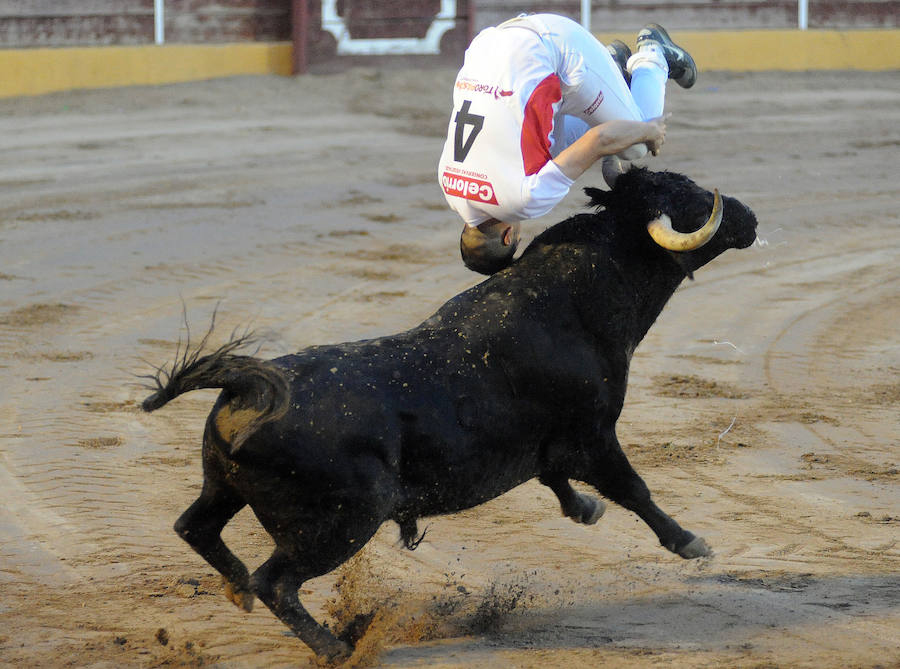 Concurso de recorte libre en Pollos