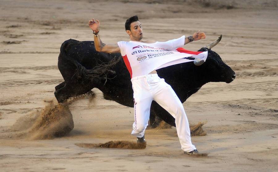 Concurso de recorte libre en Pollos