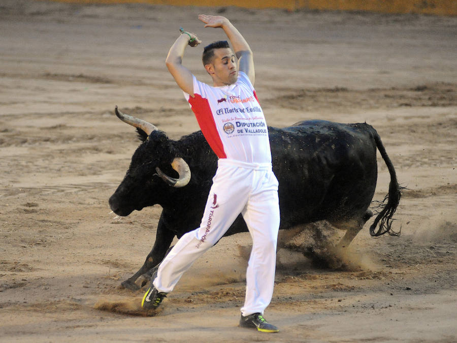 Concurso de recorte libre en Pollos