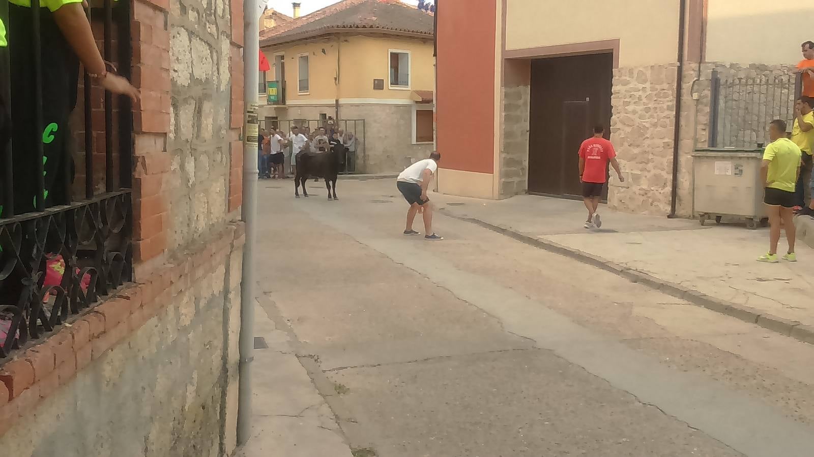 Segundo encierro de las fiestas de Wamba (Valladolid)