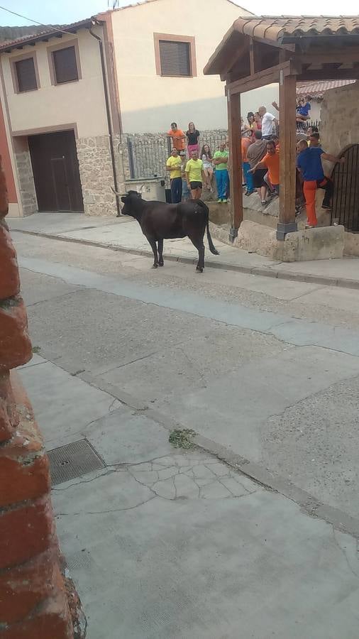 Segundo encierro de las fiestas de Wamba (Valladolid)